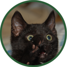 Leistung Zahnbehandlungen